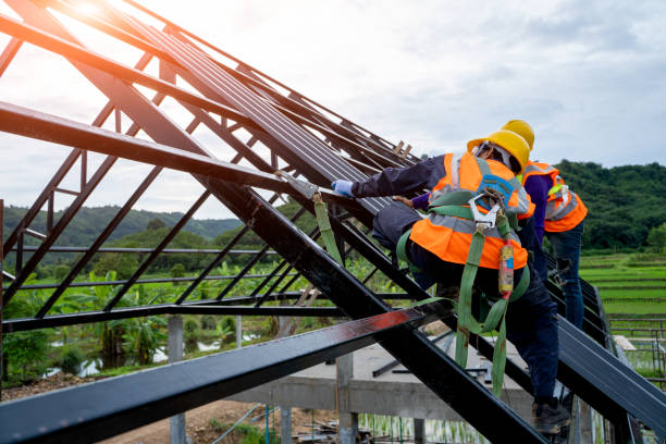 Best Roof Gutter Cleaning  in Vernon Center, NJ